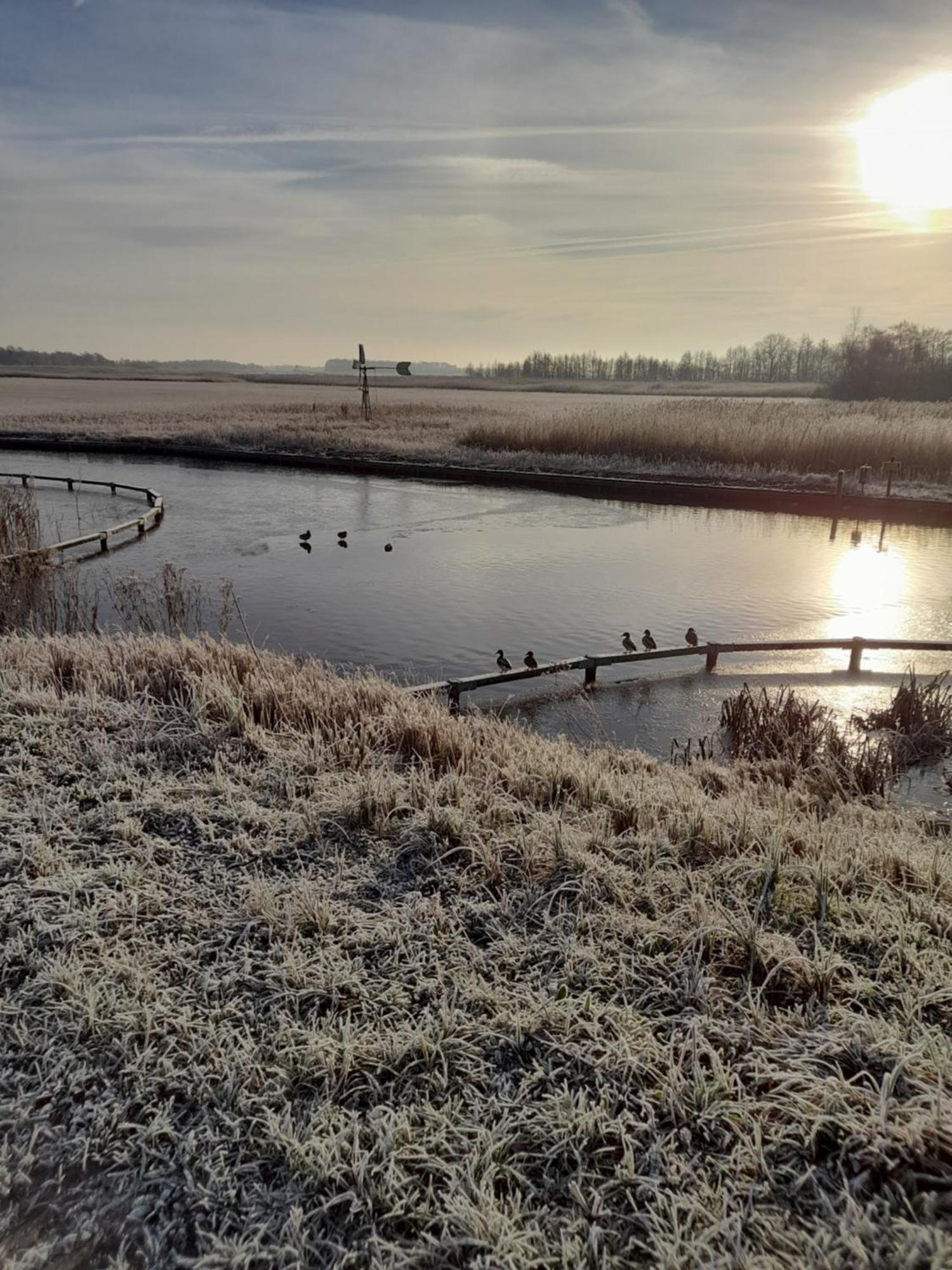 Wuivend Riet Gelegen Op Resort Venetie Giethoorn Room photo